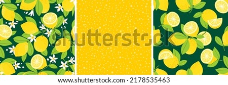 Lemon seamless pattern set. Lemon blossoming branches. Lemon fruits, halves, leaves, flowers. Juicy drops. Vector. Royalty-Free Stock Photo #2178535463