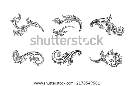 Set of decorative curled leaves, floral ornament in black lines vector illustration
