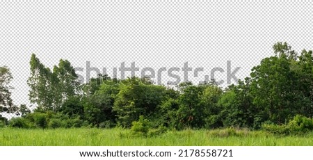 Green Trees on transparent background. are Forest and foliage in summer for both printing and web pages with cut path and alpha channel Royalty-Free Stock Photo #2178558721