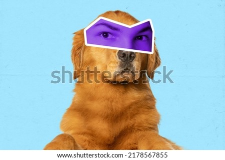 Distrust. Collage with cute dog with male eyes expressing different emotions isolated over blue background. Magazine style. Animal look at modern lifestyle. Concept of surrealism, fun, creativity
