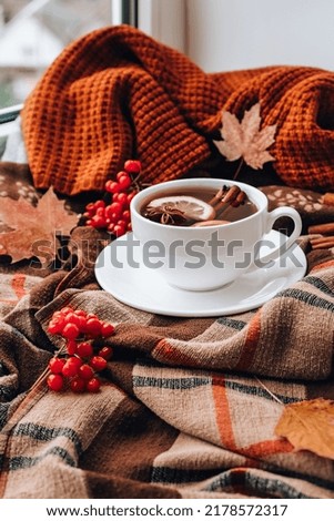 Autumn mood concept. Hot tea with lemon and cinnamon sticks on cozy sweater scarf background. Fall leaves and berries composition still life. Cup of mulled wine. Tea Time. Festive mood atmosphere home