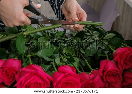 Florist arranging a bouquet from pink roses. Close up florist working cutting roses stem with pruning shears while making composition arrange. Working day in floristic store salon Floral business 