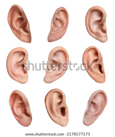 Human ears on white background, collage. Organ of hearing and balance Royalty-Free Stock Photo #2178577573