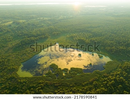 Lake in shape of a heart in forest. Freshwater Lakes. Water supply problems and water deficit, ecology and environmental. Morass and wetlands, aerial view. Mire Conservation. Bog, fen, mire landscape. Royalty-Free Stock Photo #2178590841