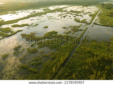 Marshland and Swamp landscape. Peatland in wet. Wild mire. East European swamps and Peat Bogs. Swampy land and wetland, marsh, bog. Mining peat. Wet mire after peat extraction. Bog on Flooded field. Royalty-Free Stock Photo #2178590907