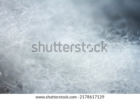 Extreme macro of polyester stable fiber. Selective focus, shallow depth of field. Royalty-Free Stock Photo #2178617129