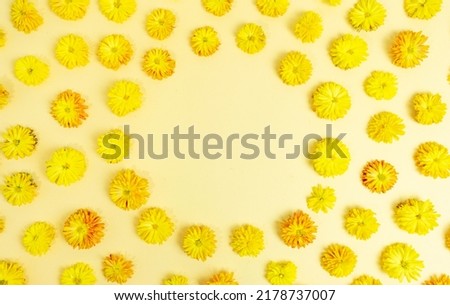Round frame made of yellow chrysanthemum flowers on a light yellow, beige background. Fall concept. Floral pattern. Autumn natural concept. Flat lay. Top view. Template for text, copy space.