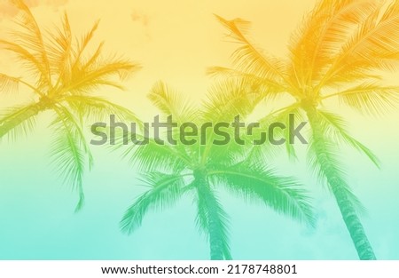 Tropical Palm Trees with vintage retro tones. Beach Vibe background