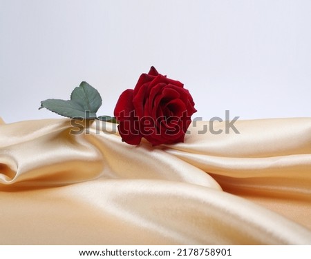 Beige nacre wave fabric silk and red rose flower. Abstract texture horizontal copy space background.