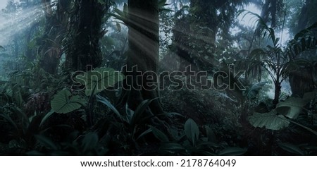 Tropical rain forest in darkness