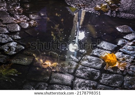Puddle in the street with leaves of Autumn at illuminated night