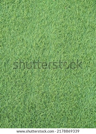 Green and clean artificial grass for your design background 