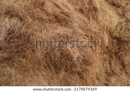 fiber from coconut fiber that has been cleaned ready to used