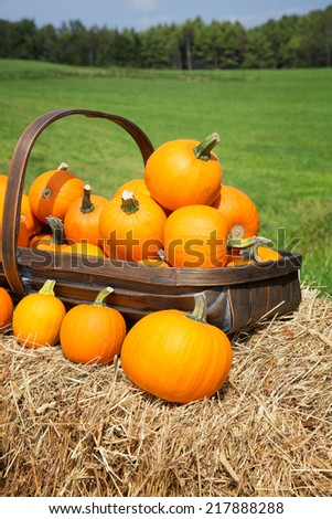 Pumpkins for sale at the roadside, displayed on hay bales in a wooden trug.