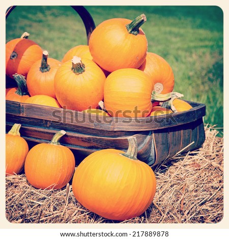 Pumpkins displayed in a trug. Filtered to look like an aged instant photo. 