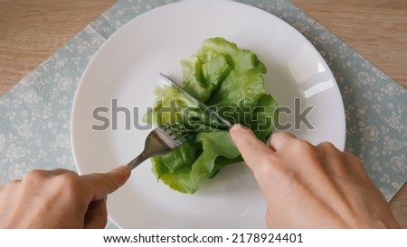 Diet concept. Single leaf of lettuce on a plate. Royalty-Free Stock Photo #2178924401