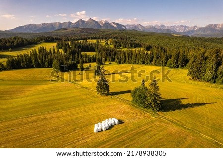Farm fields and meadows on rolling hills in high Tatra mountains in Poland at summer.
