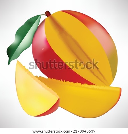 Mango. Whole and pieces. Fresh fruit. 3d vector icons set. Realistic illustration