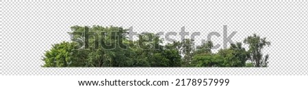 Green Trees on transparent background. are Forest and foliage in summer for both printing and web pages with cut path and alpha channel Royalty-Free Stock Photo #2178957999