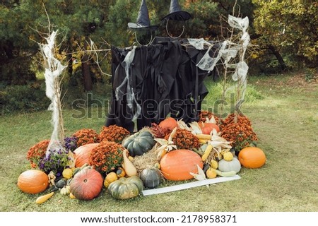 Halloween witch scarecrow, spider web, pumpkins and autumn chrysanthemum flowers decoration. Yard decor and holiday photo zone ideas for party. Selective focus, copy space