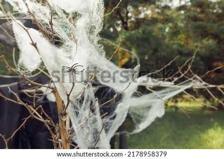 Cobweb with spider on a dry branches. Halloween yard decoration ideas. Close up, selective focus, copy space