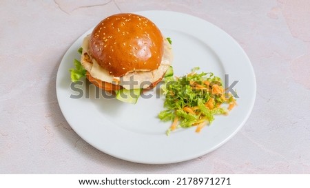 Cheese burger isolated close up