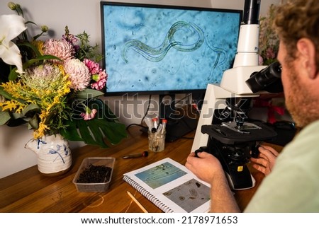 Home lab testing soil samples for soil life biology microorganisms in compost with a microscope, looking at nematodes in Tasmania Australia, organic regenerative agriculture. Royalty-Free Stock Photo #2178971653