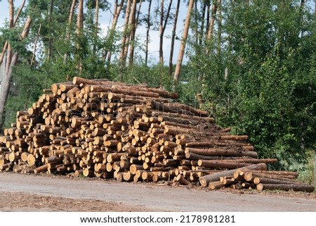 A pile of the sawed pine tree trunks stacked near a road Royalty-Free Stock Photo #2178981281