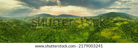 Aerial view of the endless lush pastures of the Carpathian expanses and agricultural land. Cultivated agricultural field. Rural mountain landscape at sunset. Ukraine.. High quality photo