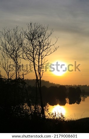 The beauty of the scenery in the atmosphere of the sunrise, mangrove forest, Tering Bay, Batam, Riau Islands, Indonesia