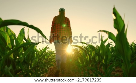 Farmer woman with computer tablet in green corn field. Farmer in corn field works with computer, Business Farm. Agriculture concept. Modern digital technologies. Agronomist on farm, Worker working Royalty-Free Stock Photo #2179017235