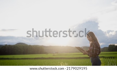 Asian women use tablet for checking rice fields on organic farms of agriculture. Asian farmer use technology for the development plantation of rice in the farmland of countryside.