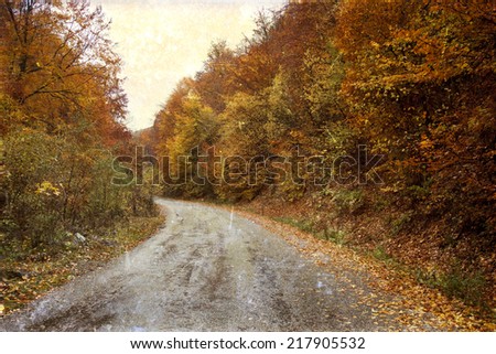 curving road in autumn forest - vintage photo