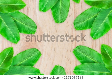Exotic Leaves Frame on Wooden Background