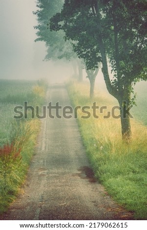 Autumn morning in the countryside. Romantic, misty, foggy landscape. Vintage looking nature photo.