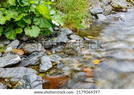 long exposure of a River stream on mountain valley. Slow motion surface boiling water in the mountain river. Fresh water bubbling from source. cropped