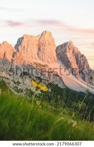 (Selective focus) Stunning view of Mount Pelmo during a beautiful sunset with defocused grass and flowers in the foreground. Royalty-Free Stock Photo #2179066307