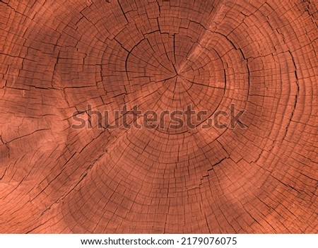 Texture Ends wood, seamless texture wooden