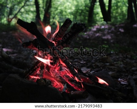 Photo of a campfire near among the forest. Natural background. Fire flame.
