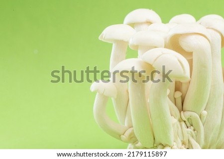 White jade mushroom on green background