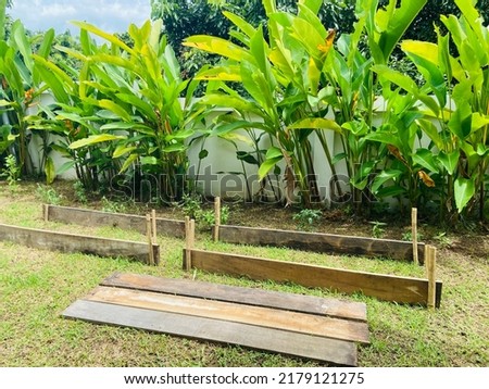 Preparing to making a small kitchen garden for grow up the organic vegetables for cooking in the family because it safety from the chemical and very good benefits and high vitamins for healthy. 