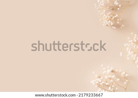 Dry natural grass, leaves and flowers beauty and fashion concept mock up on beige background flat lay, top view, copy space, banner Royalty-Free Stock Photo #2179233667