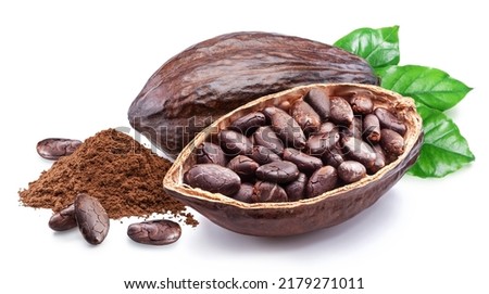 Dried cocoa beans in the half of cocoa pod isolated on white background. Royalty-Free Stock Photo #2179271011