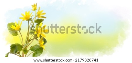 Bouquet of yellow daisy-gerbera or sunflower on watercolor background. Red chamomile horizontal banner with copy space. Spring or summer blossom blooming. Field flower Jerusalem artichoke. Empty place
