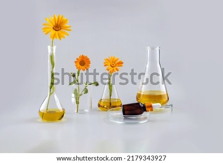 bottle with a pipette, laboratory flasks and calendula flowers on a gray background