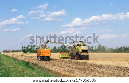 Loading grain from a combine into a truck. Harvesting grain in Ukraine. Royalty-Free Stock Photo #2179366985