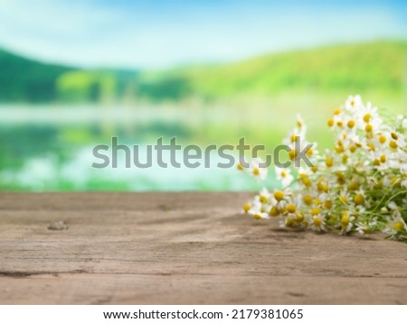 Daisies on the empty wooden table by the lake. Empty space for product and advertising space. ( selective focus )