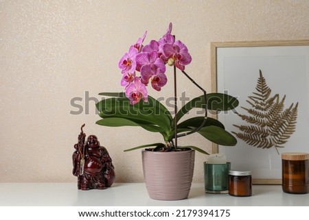 Beautiful pink orchid flower and different decor elements on white table