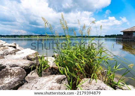jetty stone lake with reed, boathouse and interesting clouds; panorama Royalty-Free Stock Photo #2179394879