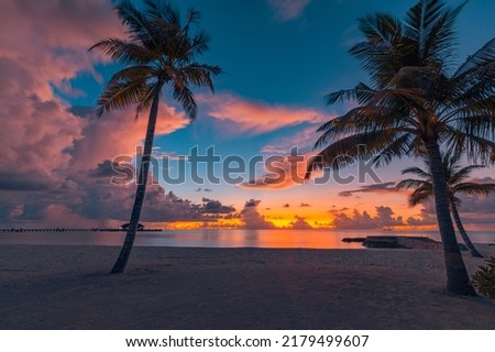 Beautiful panoramic sunset tropical paradise beach. Tranquil summer vacation or holiday landscape. Tropical sunset beach seaside palm calm sea panorama exotic nature view inspirational seascape scenic Royalty-Free Stock Photo #2179499607